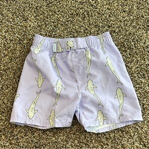 Boys 4T l Shark Print Rugged Butts Swim Shorts